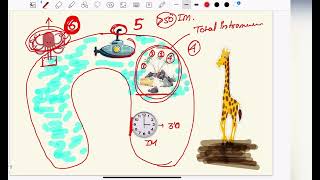 picture mnemonic for figo leiomyoma classification myoma fibroiduterus ivf mnemonic [upl. by Vance]