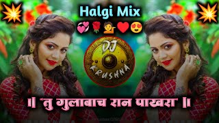 Tu Gulabach Raan Pakhara  तू गुलाबाच रान पाखरा  Halgi Mix DJ Krushna [upl. by Lezti]