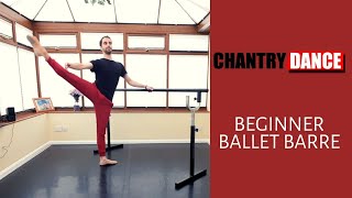 Beginner Ballet Barre with Chantry Dance [upl. by Cerelia]