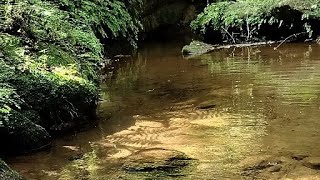 Relaxing and calming nature video [upl. by Meggi474]