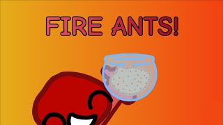 Shadeless Short Fire Ants [upl. by Kiran]