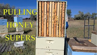 Pulling Honey Supers [upl. by Elak]