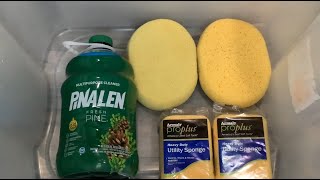 ASMR 🌲 WHOLE JUG OF PINALEN 🌲  SATISFYING SPONGE SQUEEZING [upl. by Nnaj184]