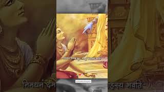 Avidyanam Antas Timira Song  Full Lyrics Video  shreekrishna shorts youtubeshorts [upl. by Moore881]