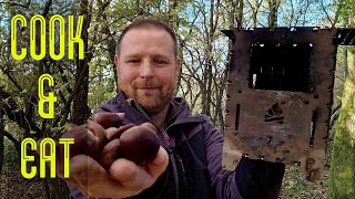 Roasting chestnuts on my Bushbox xl essentials stove [upl. by Lenaj]