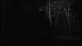 Tweetsie Railroads Ghost Train 2008 Ride part 3 [upl. by Finnigan209]