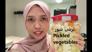 Persian Pickled Vegetables by Malaysian Girl Speaks Persian  تهیه ترشی شورتوسط دختر مالزیایی [upl. by Attenohs]