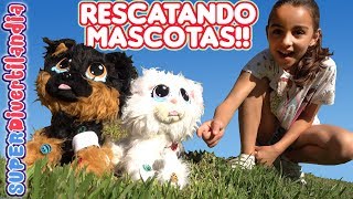 🐱 RESCATANDO MASCOTAS 🐶 Rescue Runts gato perro y unicornio [upl. by Trista]