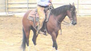 Cutting Sorting Ranch Horse For Sale  Cutting Horse Reining Horse Cow Horse [upl. by Eikkin]