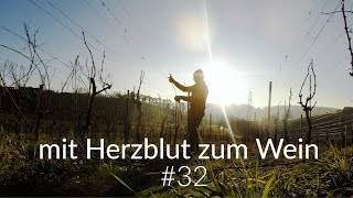 mit Herzblut zum Wein Vlog 32 Reben schneiden N°1  Weinwichteln [upl. by Aihsined]