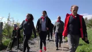 Elevage RodierSartre  Transhumance 2019 au col de Bonnecombe sur lAubrac [upl. by Moynahan]