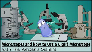 Microscopes and How to Use a Light Microscope [upl. by Cheyne552]