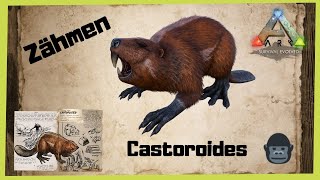 🦖ARK‬ Survival Evolved 🦖 Castoroides zähmen 2021 TamingINFO GUIDEDeutschDinos zähmen [upl. by Elfrieda]