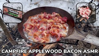 Solo Overnight Campfire Bacon ASMR in the Snow [upl. by Maltz234]