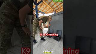 🔥K9 Dog Trained to Find Objects dog k9trainer dogtraining k9 belgiummalinois pets [upl. by Ecnedurp]