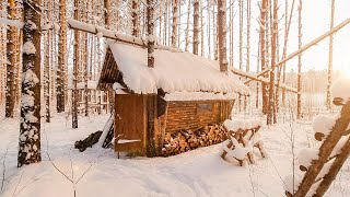 Built a log cabin in the wild forest Six months in 20 minutes From start to finish Short version [upl. by Normak]