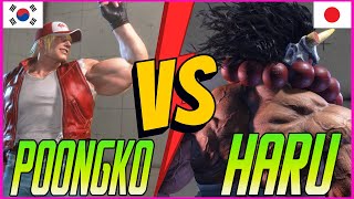 🔥SF6🔥POONGKO TERRY VS HARU AKUMA🔥STREET FIGHTER 6🔥 [upl. by Walford]