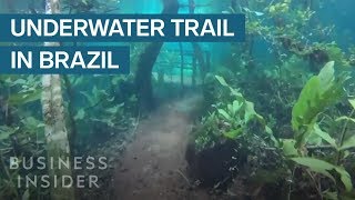 Heavy Rain Turned This Hiking Trail Into An Underwater Paradise [upl. by Ardnuhsor952]