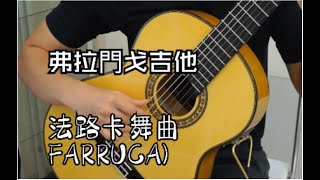 Farruca （法路卡舞曲）  Juan Martin Flamenco Guitar cover by HON Ho Nam [upl. by Eldnik286]