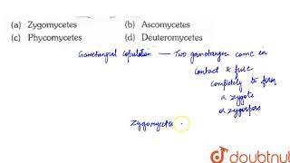 Gametangial copulation conjugation is common in [upl. by Carver]