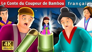 Le Conte du Coupeur de Bambou  Tale of the Bamboo Cutter in French  Contes De Fées Français [upl. by Holly-Anne]