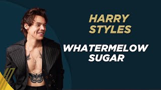 Karaoke Harry Styles Watermelon sugar VoxShow [upl. by Ayr]