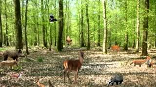 🇫🇷 Lincroyable forêt de broceliande quotChâteau hanté contes Merlin et ses légendes extraordinairesquot [upl. by Lilith]