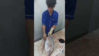 Fish filleting fishcutting [upl. by Urbain67]