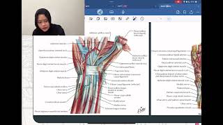 Anatomi Regio Antebrachii dan Regio Manus  Anatomi Blok 12 [upl. by Samford]