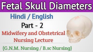 Fetal Skull Diameters  Fetal Skull Diameters In Hindi [upl. by Kauffmann891]