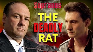 What Happened To Tony Soprano The Sopranos Ending [upl. by Enialahs266]