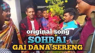 SOHRAI GAI DANA SERENG  SOHRAI SANTALI SONG 2024  ORIGINAL SOHRAI SANTALI SONG [upl. by Amalbena652]