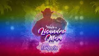 Hnos Yaipén  Tributo a Lisandro Meza Cover Audio [upl. by Behlau119]