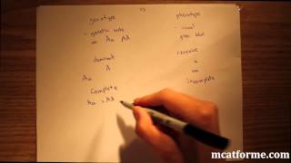 MCAT Biology Lecture Introduction to Genetics [upl. by Robin]