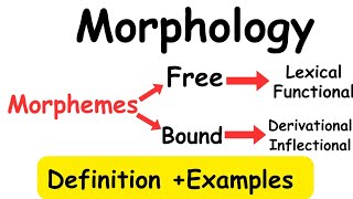 MorphologyMorphemeTypes of morphemelinguistics [upl. by Dearman]