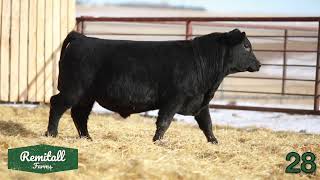 Lot 28 – Remitall Farms Bull amp Select Female Sale [upl. by Kcirdek]