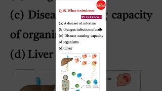 VIRULENCE rrbnursingexam nursingofficermcq staffnursepracticetest [upl. by Eirrotal]