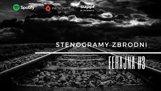 Stenogramy zbrodni™  FERAJNA 🎧3  kryminał podcast słuchowisko antykryminał [upl. by Hsirk]