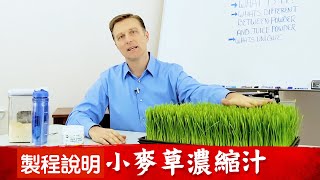 【短片】小麥草汁粉很獨特，斷食可喝、提升能量活力，營養種植柏格醫生 Dr Berg [upl. by Neelyahs]