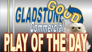 Gladstone Commercial  Monthly Dividend Stock  Passive Income [upl. by Janerich]