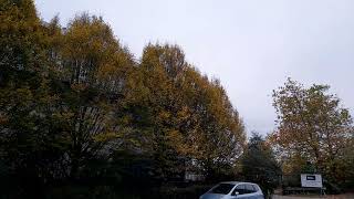 Nechells Autumnscape November 1st 2024 Autumn 🍂 🍂 🍂 [upl. by Arayt]