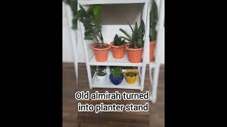 Old plastic almirahrack turned into Planter stand shortsvideo balcony garden diy [upl. by Nollahs]