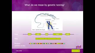 The Genetics of ADPKD [upl. by Eenhat78]