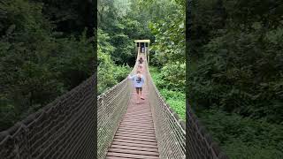 The rope bridge at Paignton Zoo [upl. by Arch]