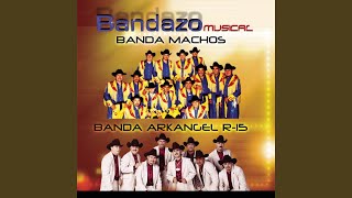 Banda Arkangel R15La Magia de La Musica [upl. by Otiv]