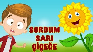 SORDUM SARI ÇİÇEĞE Muhteşem Çocuk İlahisi  Bibercik TV Çocuk İlahileri [upl. by Airotel]