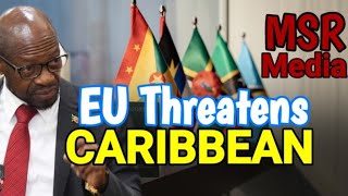 St KittsNevis🇰🇳 Foreign Minister Responds To European Union🇪🇺 MSR Media Threats To Caribbean [upl. by Aneram]