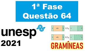 UNESP 2021 A figura mostra um experimento realizado com duas espécies de gramíneas A e B [upl. by Eellek577]