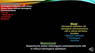 Epithelial Odontogenic Tumors [upl. by Lindon]