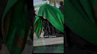 🥺❤️‍🩹🖤  karbala  Mola Hussain As  kanizeahlulbayt  subscribe  like [upl. by Llehcsreh]